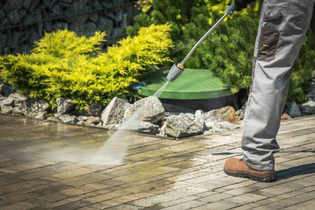 Best Gutter Cleaning and Brightening in West Ocean City, MD